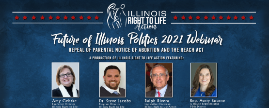 Join Us for Our Next Future of Illinois Politics Webinar!